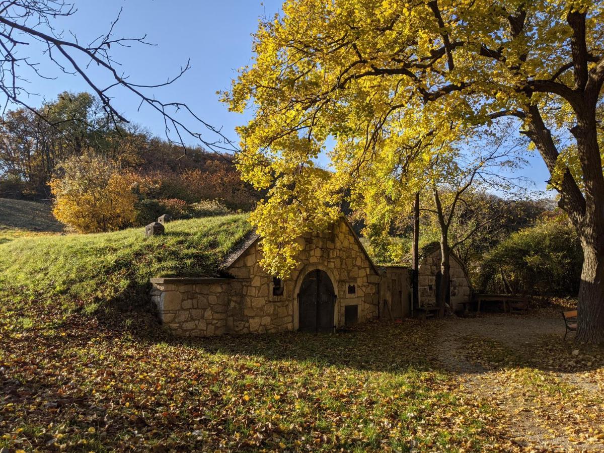 Schützen am Gebirge Bonito - Historischer Streckhofヴィラ エクステリア 写真